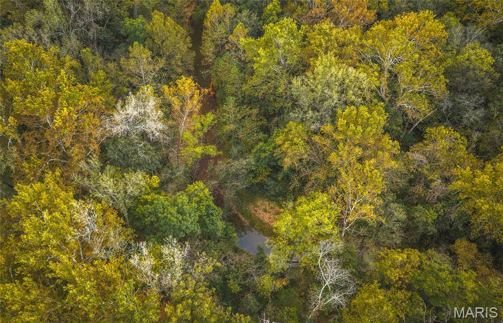 9305 Old State Route 21 Property Photo 20
