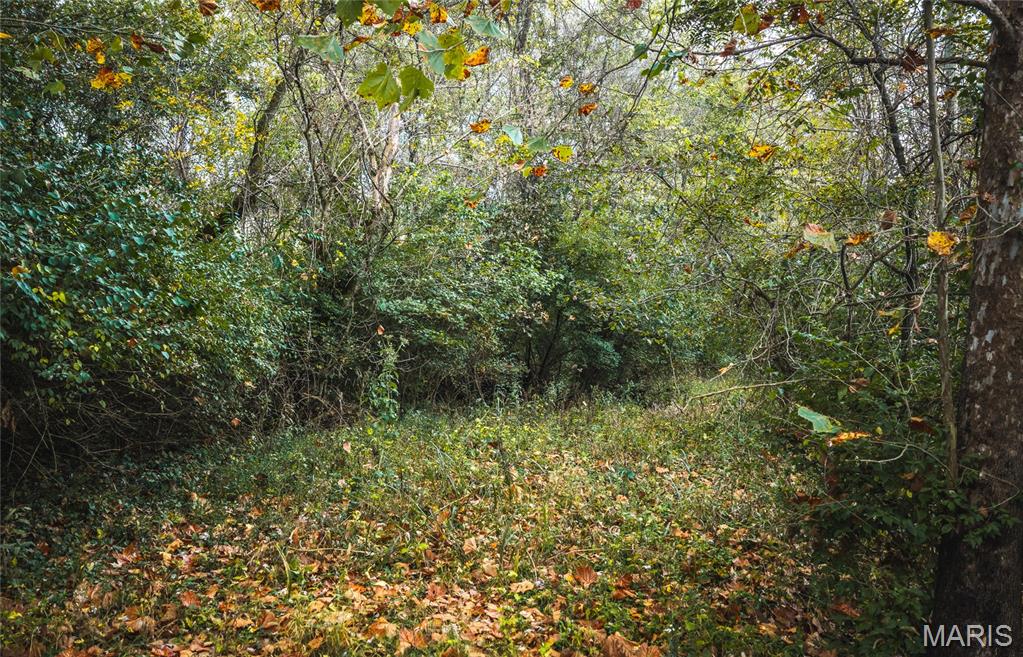 9305 Old State Route 21 Property Photo 21