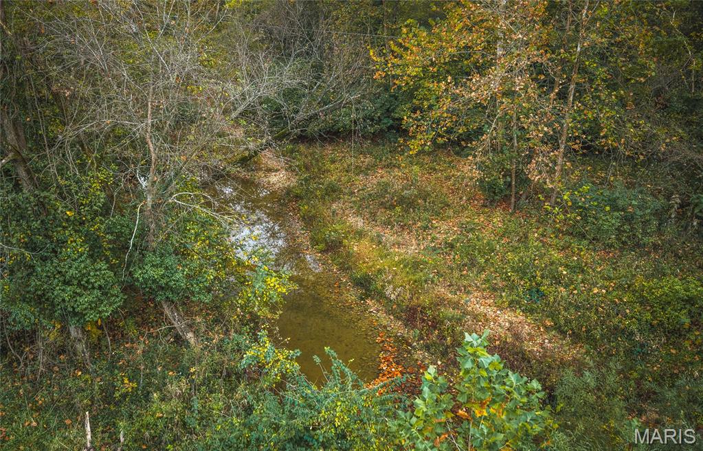 9305 Old State Route 21 Property Photo 22