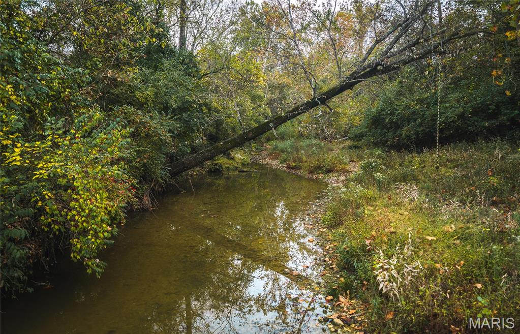 9305 Old State Route 21 Property Photo 23
