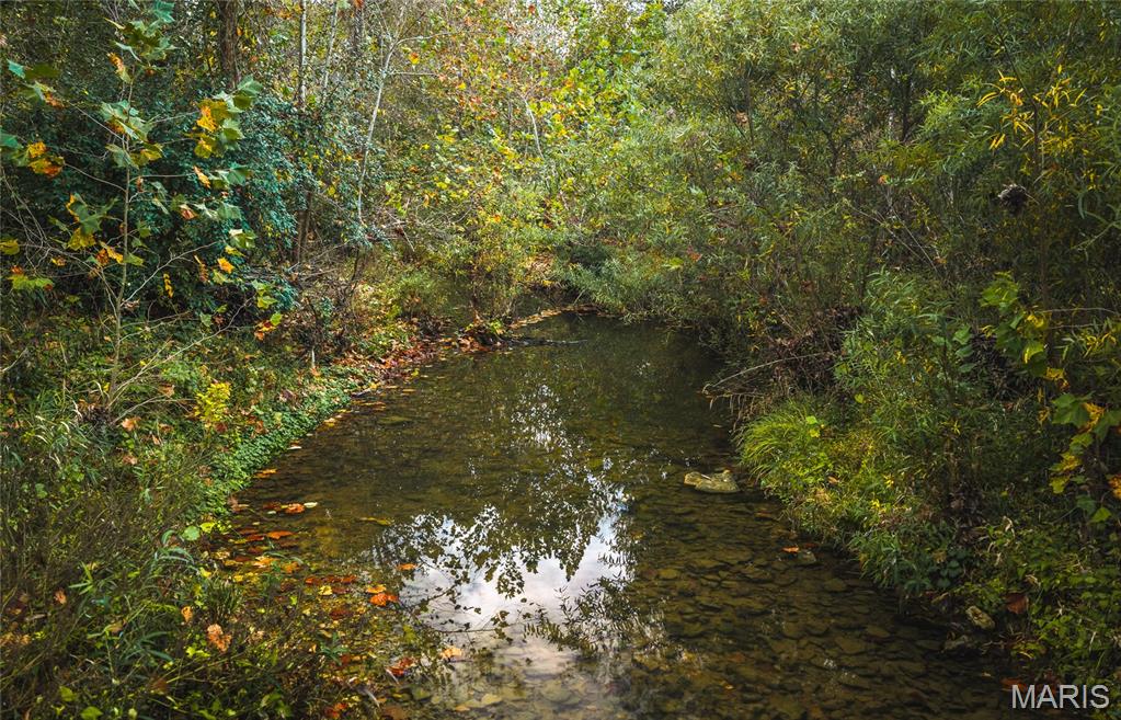 9305 Old State Route 21 Property Photo 24
