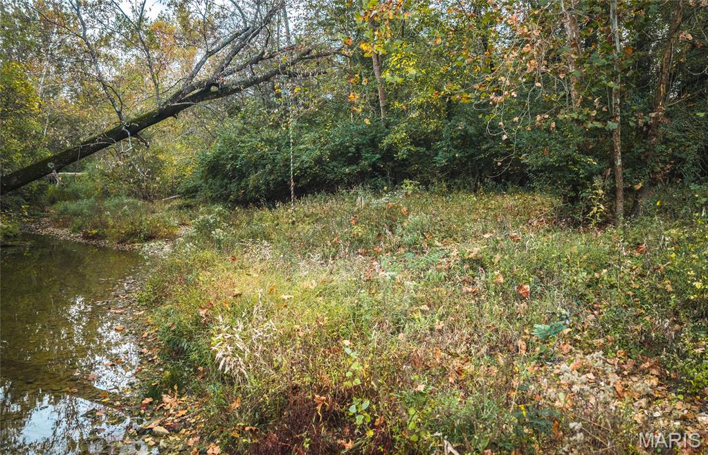 9305 Old State Route 21 Property Photo 26