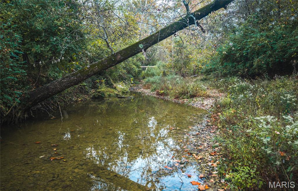9305 Old State Route 21 Property Photo 27