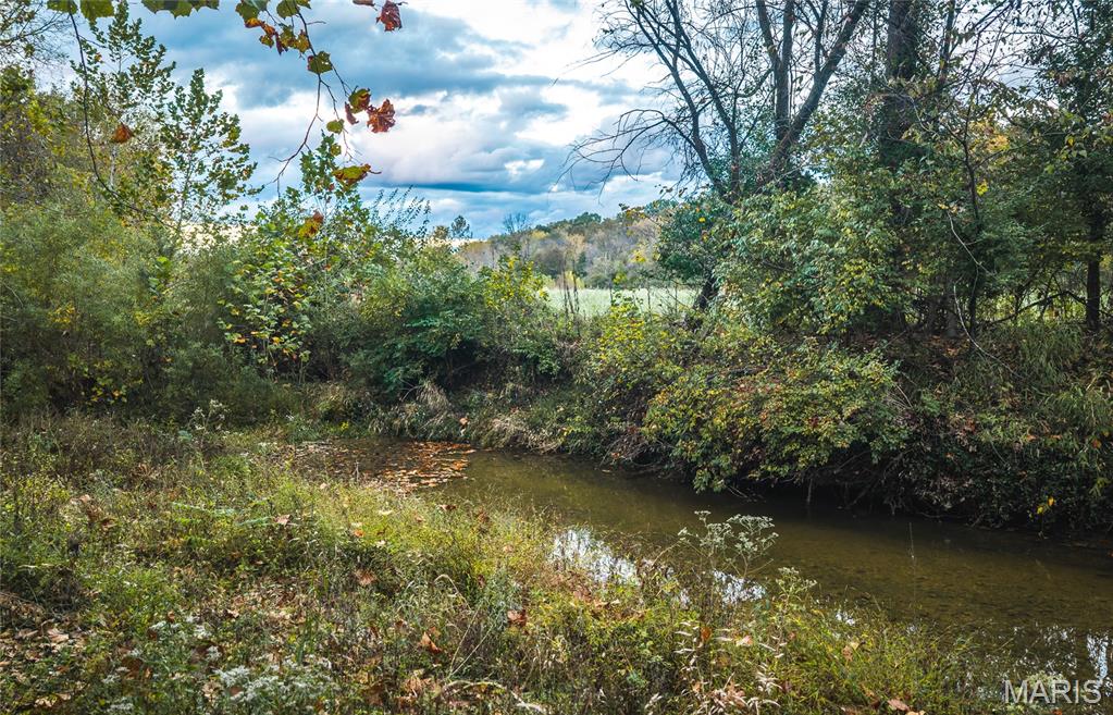 9305 Old State Route 21 Property Photo 28