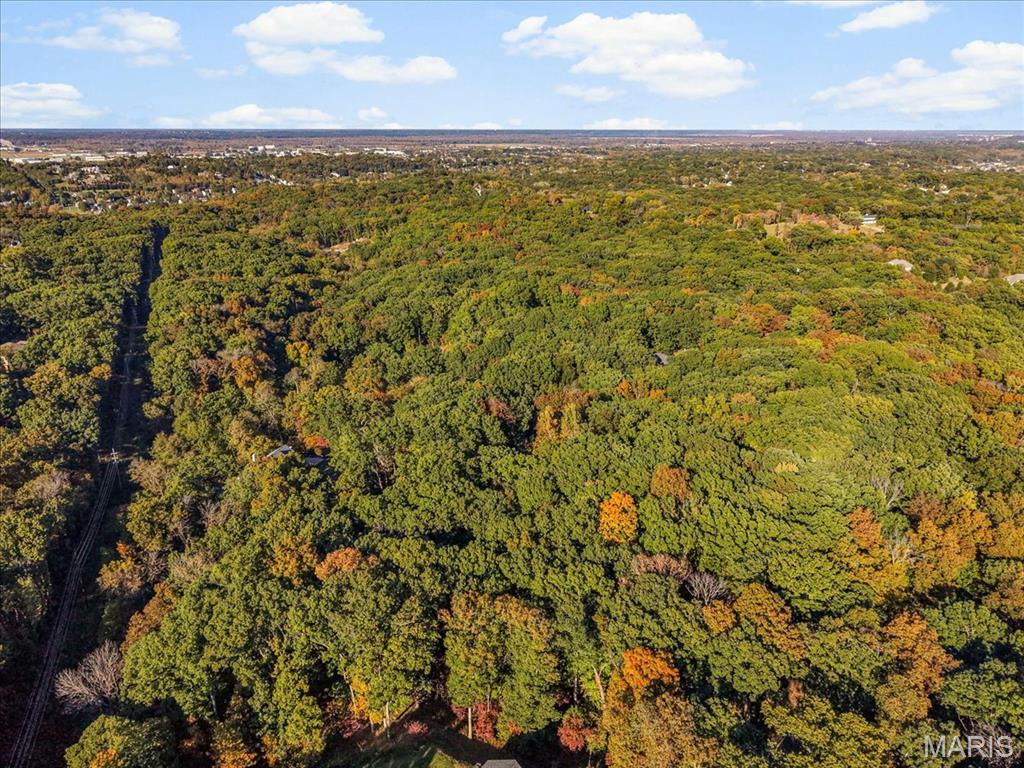1001 Chesterfield Forest Drive Property Photo 8
