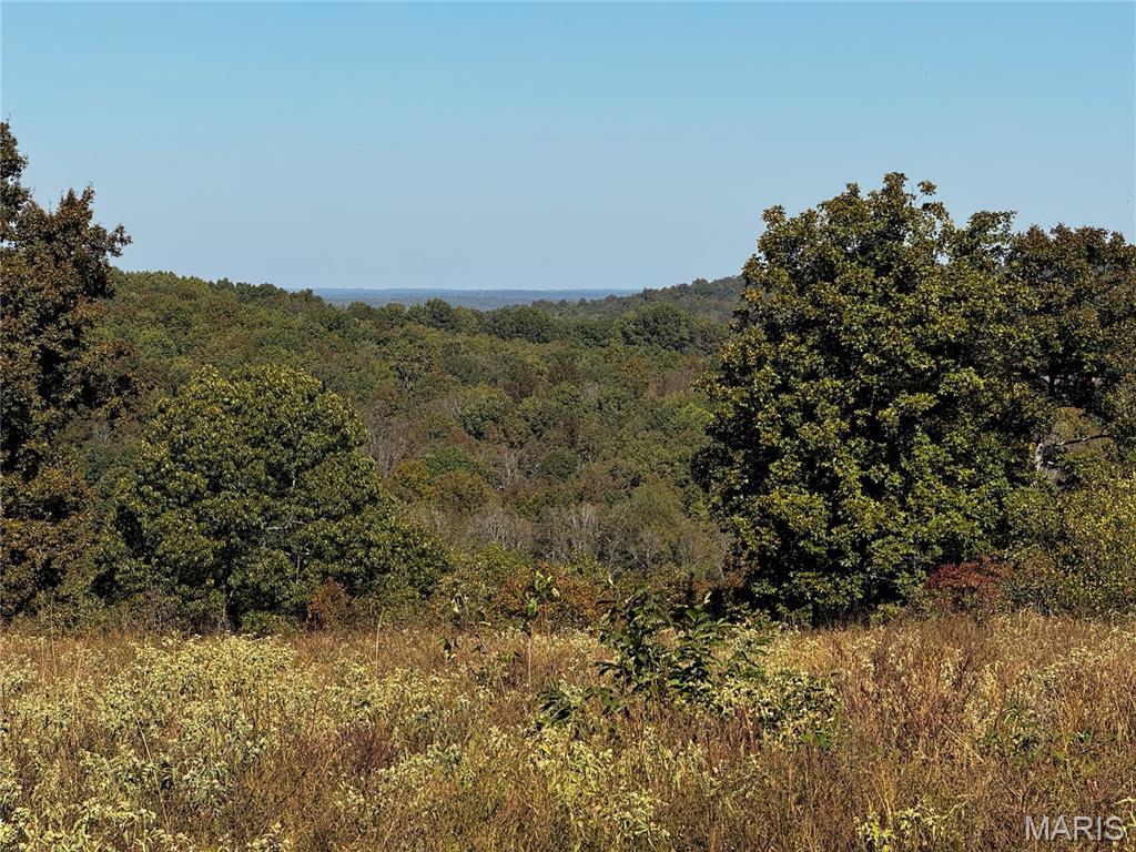16065 Hwy 142w Property Photo 4