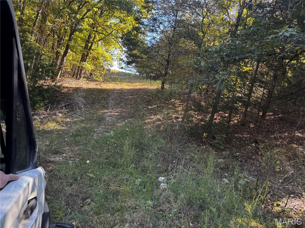 16065 Hwy 142w Property Photo 12