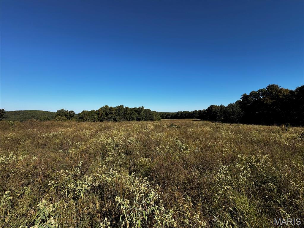 16065 Hwy 142w Property Photo 13