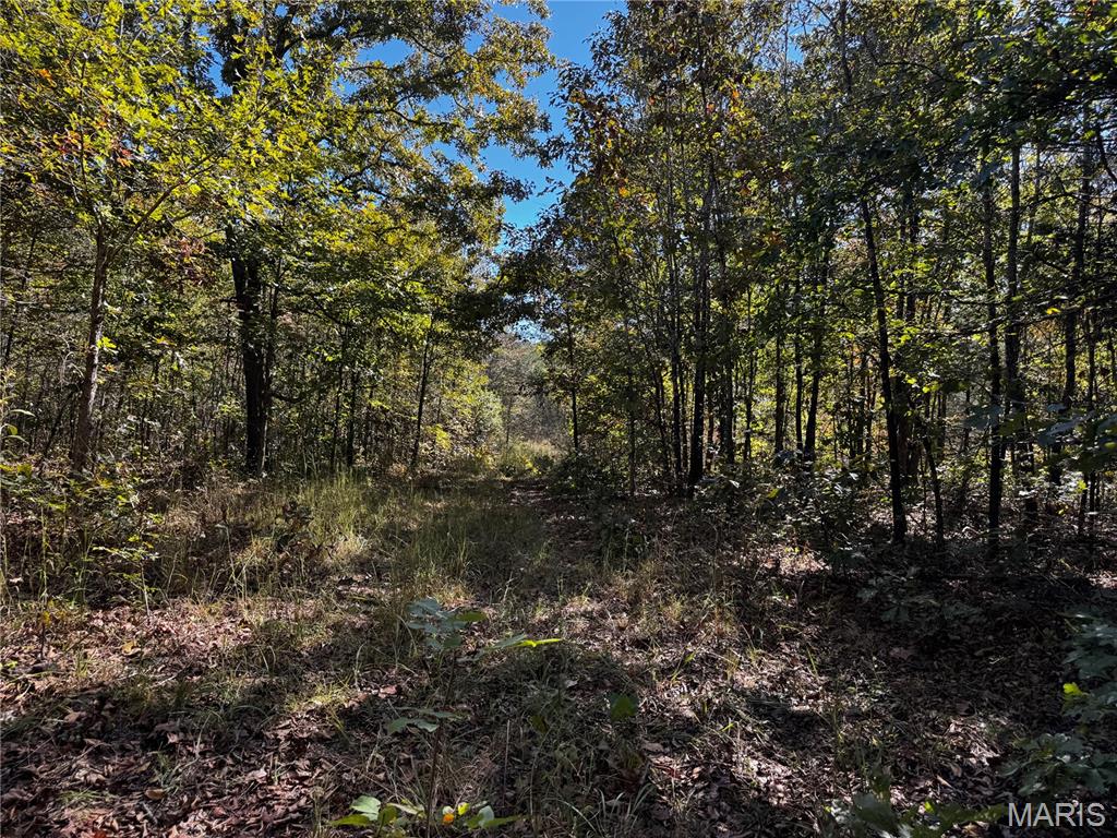 16065 Hwy 142w Property Photo 14