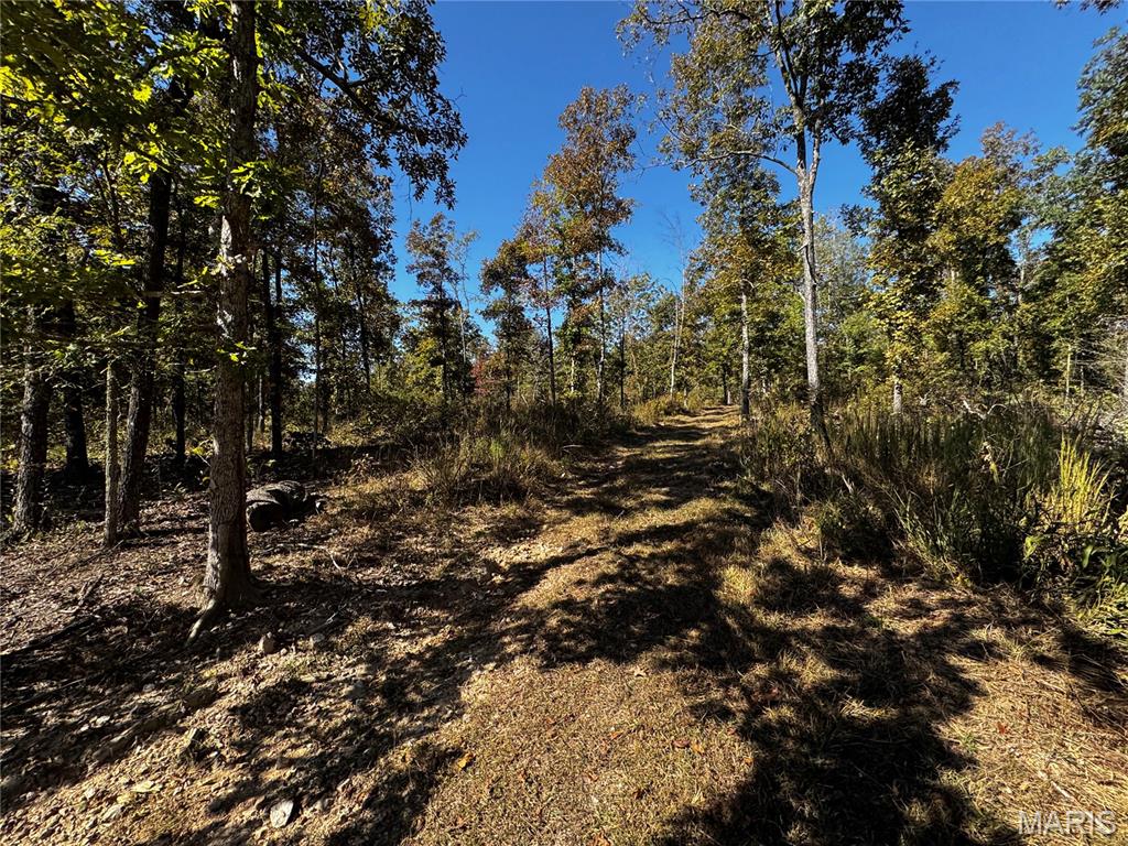 16065 Hwy 142w Property Photo 16