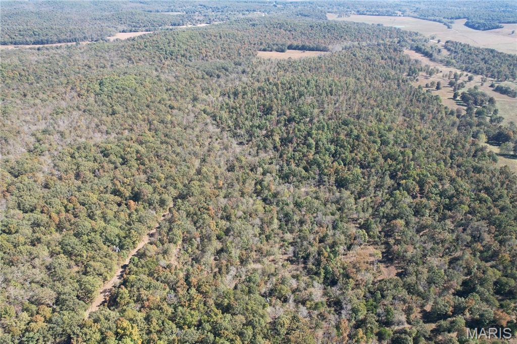 16065 Hwy 142w Property Photo 34