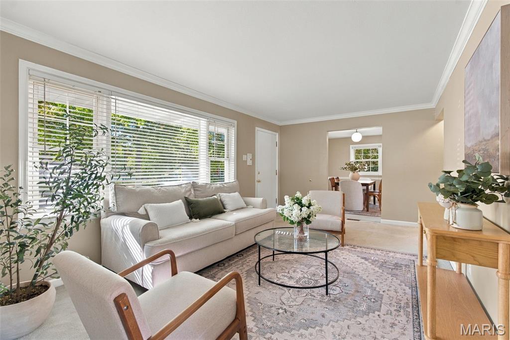 20 Forest Home Court Property Photo 9