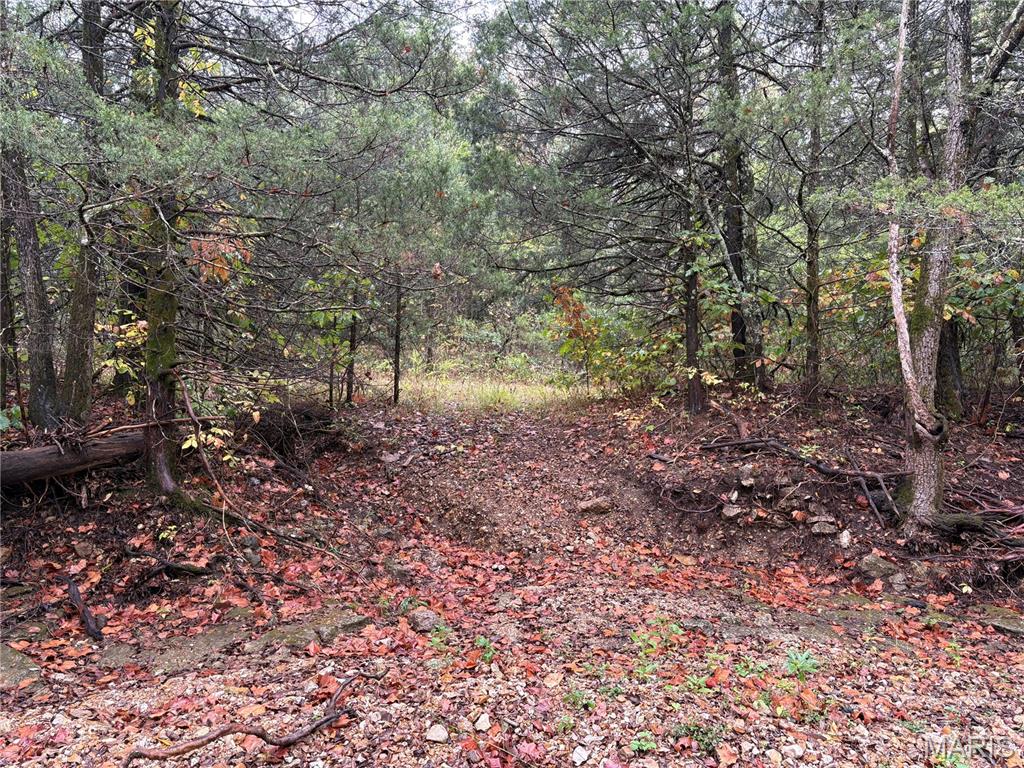 Tbd Barton School Road Property Photo 3