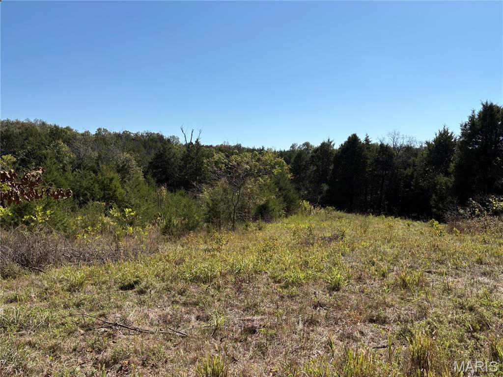 Tbd Barton School Road Property Photo 4