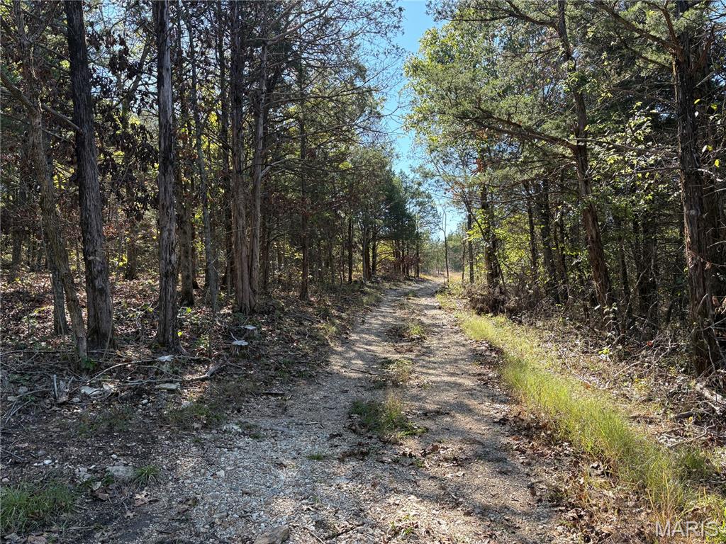 Tbd Barton School Road Property Photo 5