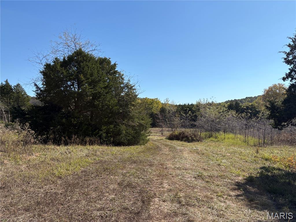 Tbd Barton School Road Property Photo 7
