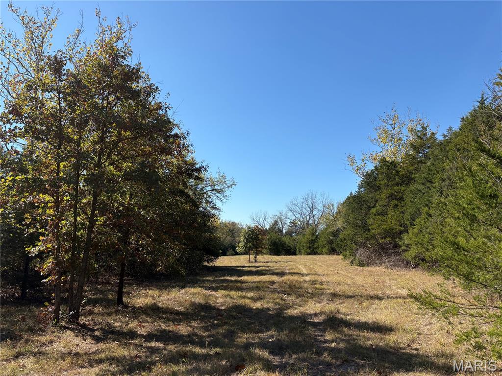 Tbd Barton School Road Property Photo 13