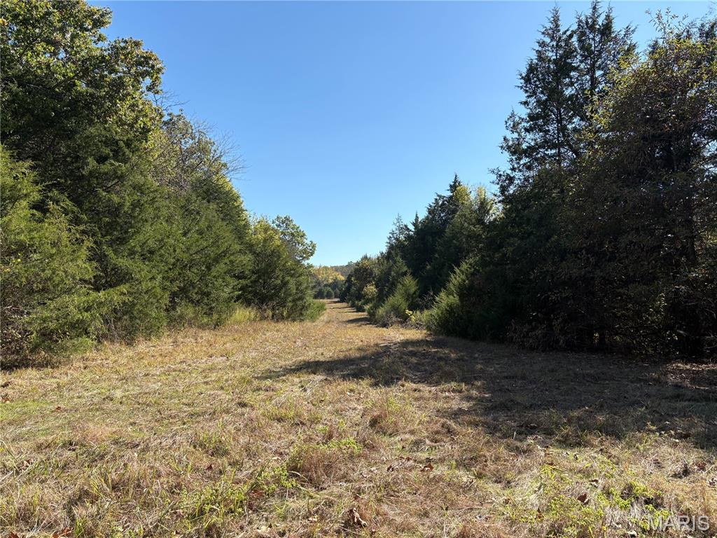 Tbd Barton School Road Property Photo 16