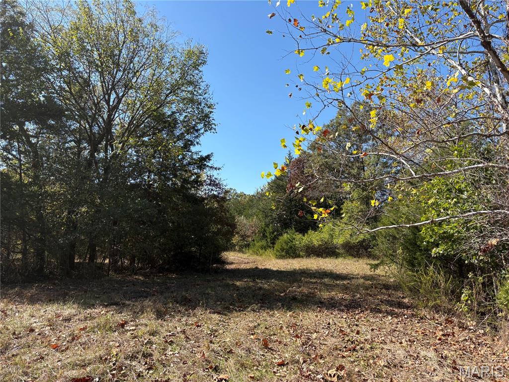 Tbd Barton School Road Property Photo 17
