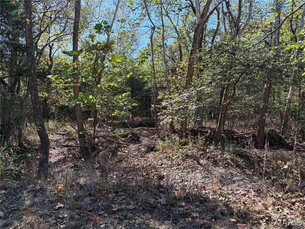 Tbd Barton School Road Property Photo 18