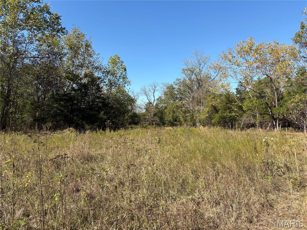 Tbd Barton School Road Property Photo 19