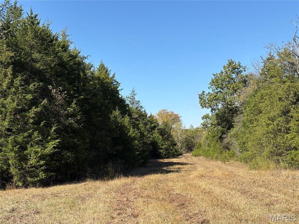 Tbd Barton School Road Property Photo 20