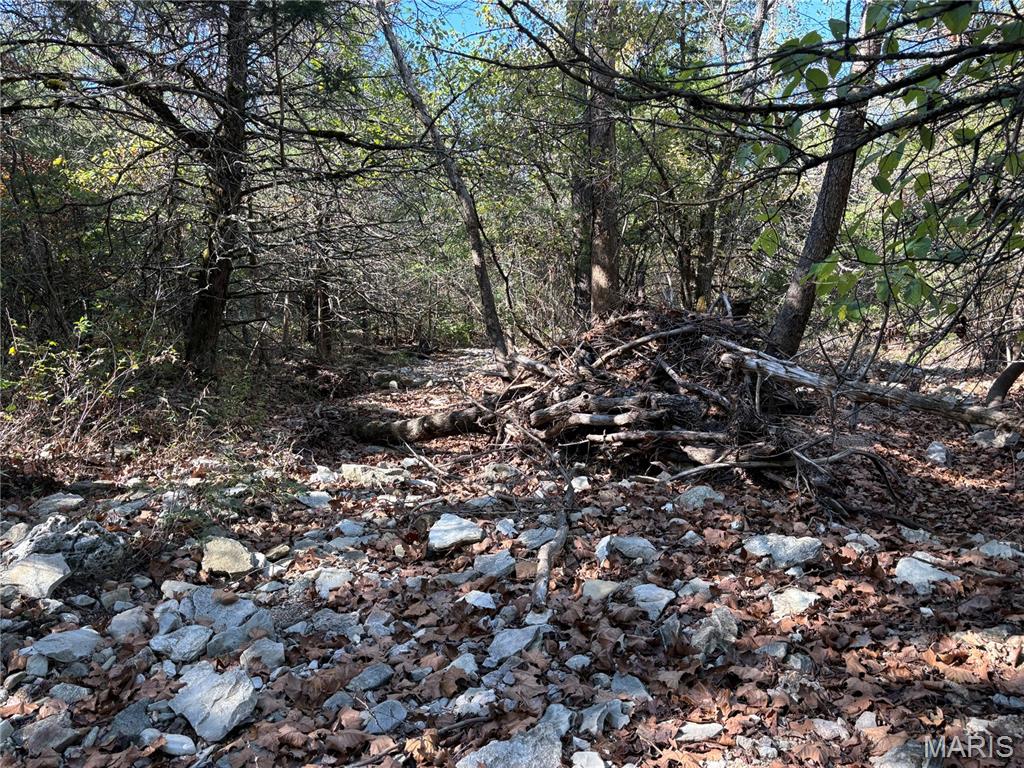 Tbd Barton School Road Property Photo 21
