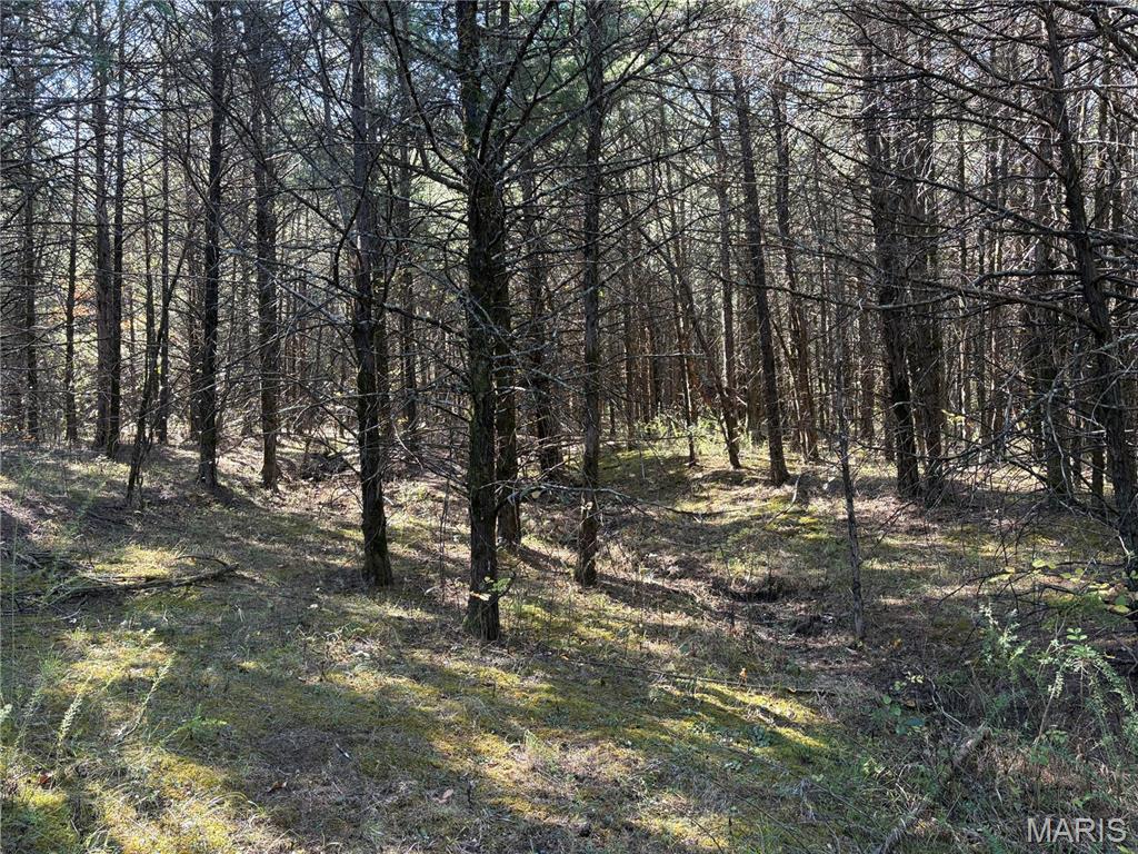 Tbd Barton School Road Property Photo 25