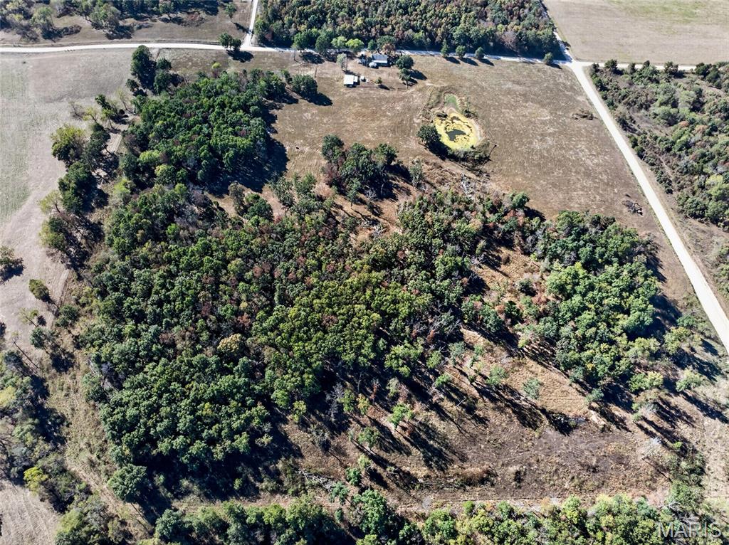 14123 Fleming Road Property Photo 35