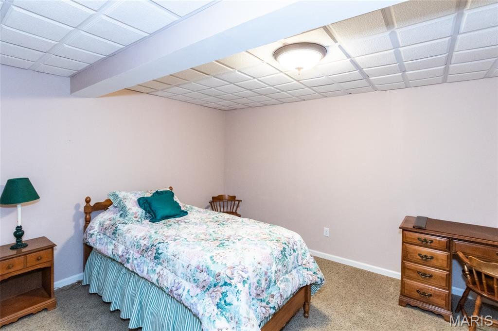 3019 Timber View Drive Property Photo 45
