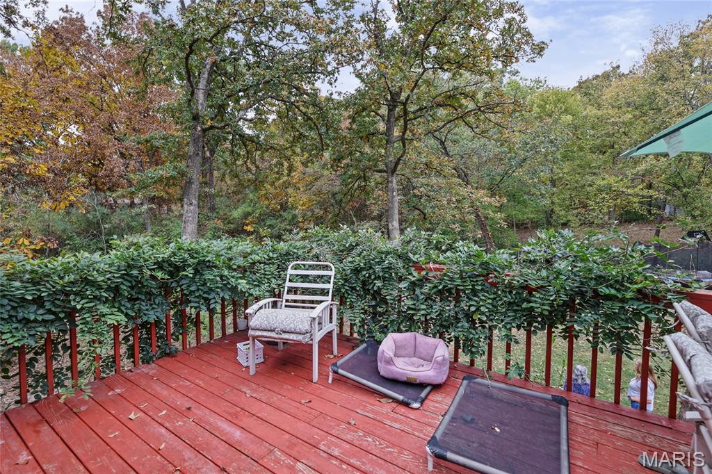 9043 Slemer Lane Property Photo 31