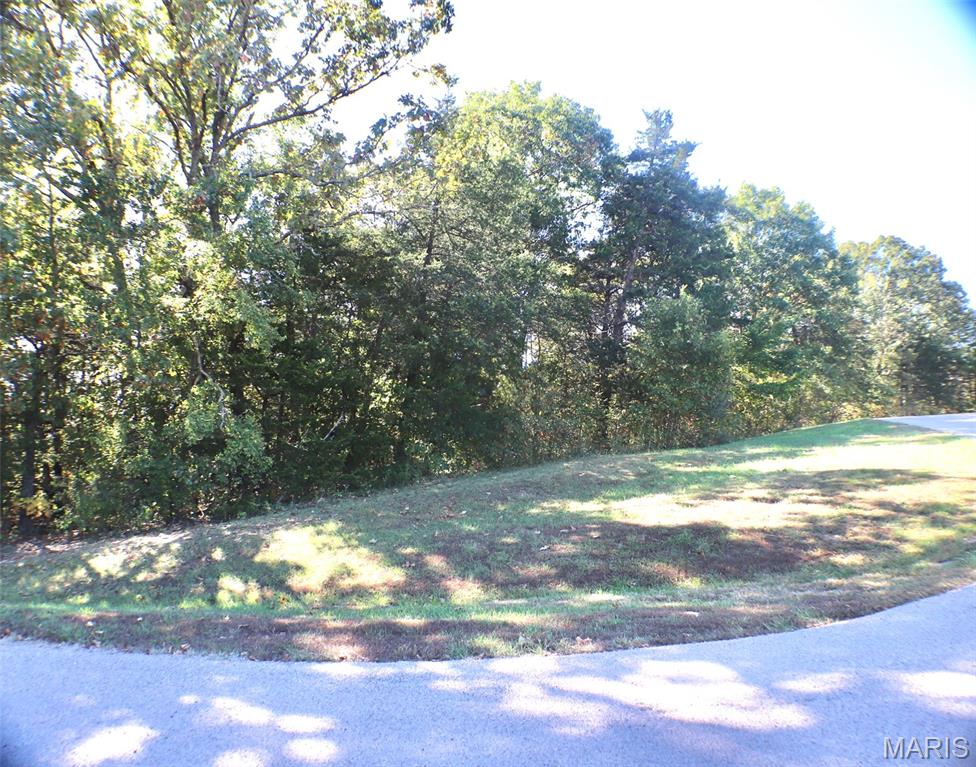 0 Black Forest Drive W Property Photo 1