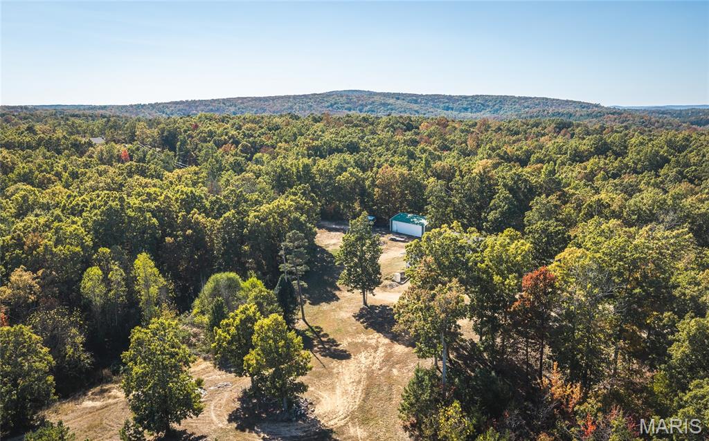 6004 Highway 67 Property Photo 38