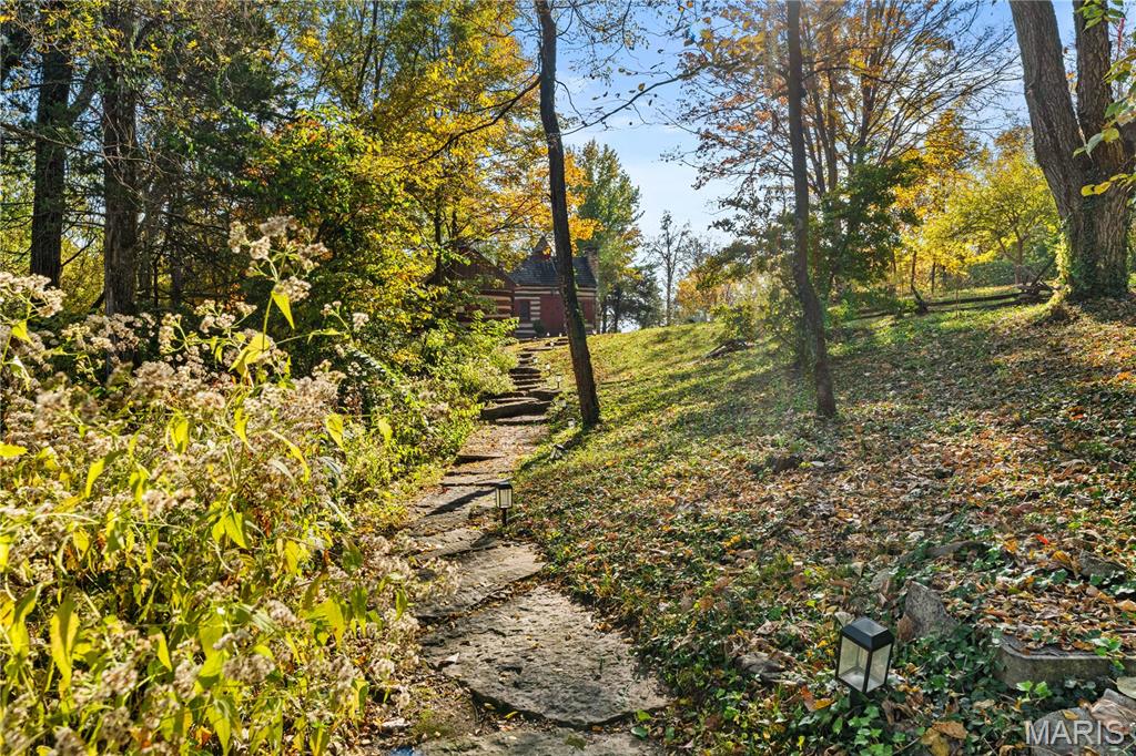 4505 Old Highway 100 Property Photo 41
