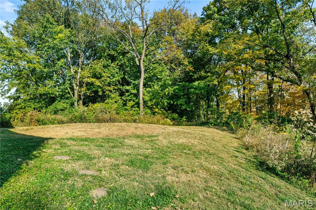 4505 Old Highway 100 Property Photo 52