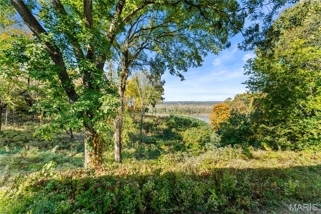 4505 Old Highway 100 Property Photo 54