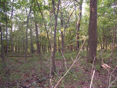0 W Outer Road Property Photo