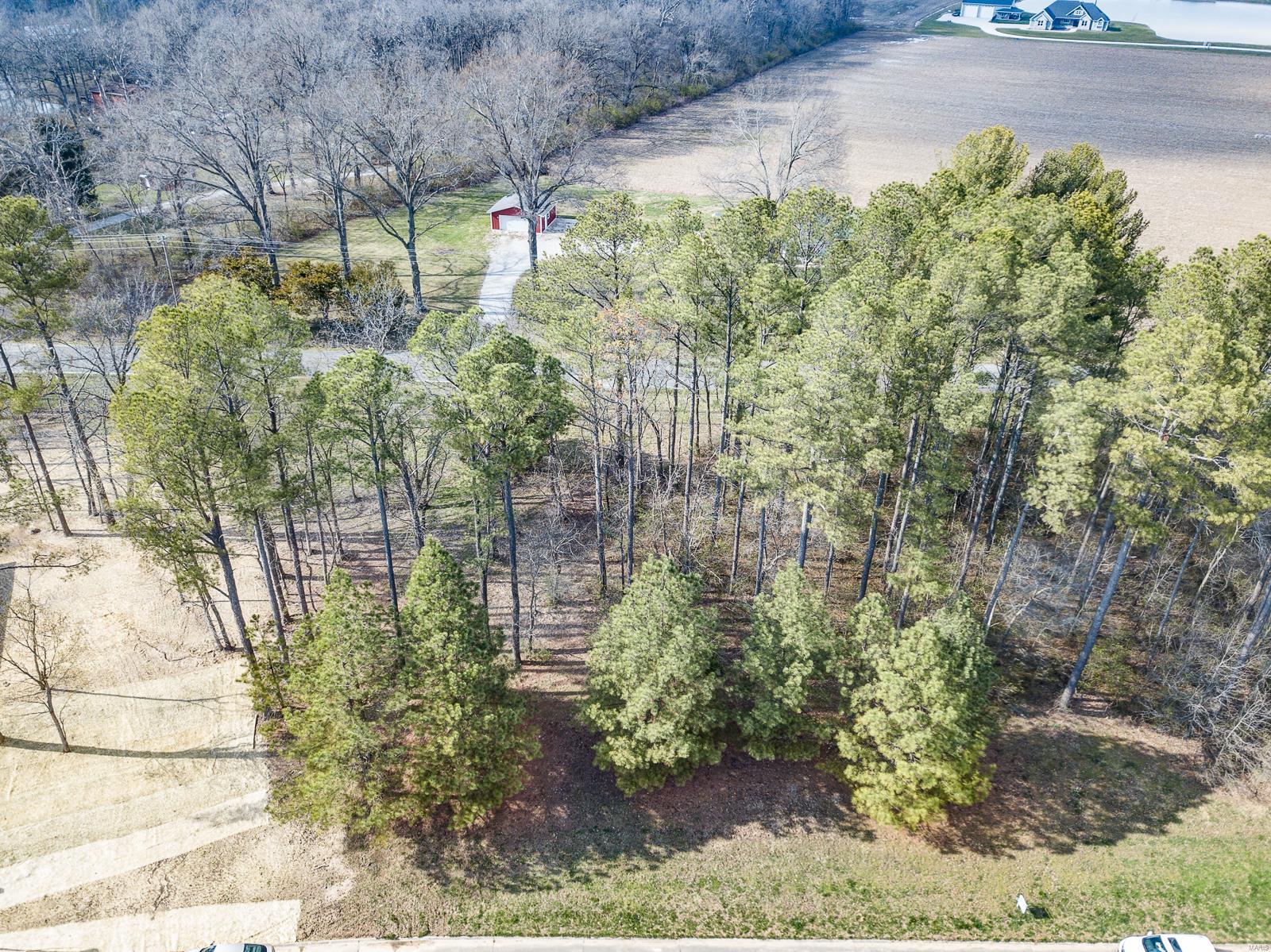 4517 Boardwalk Property Photo 2