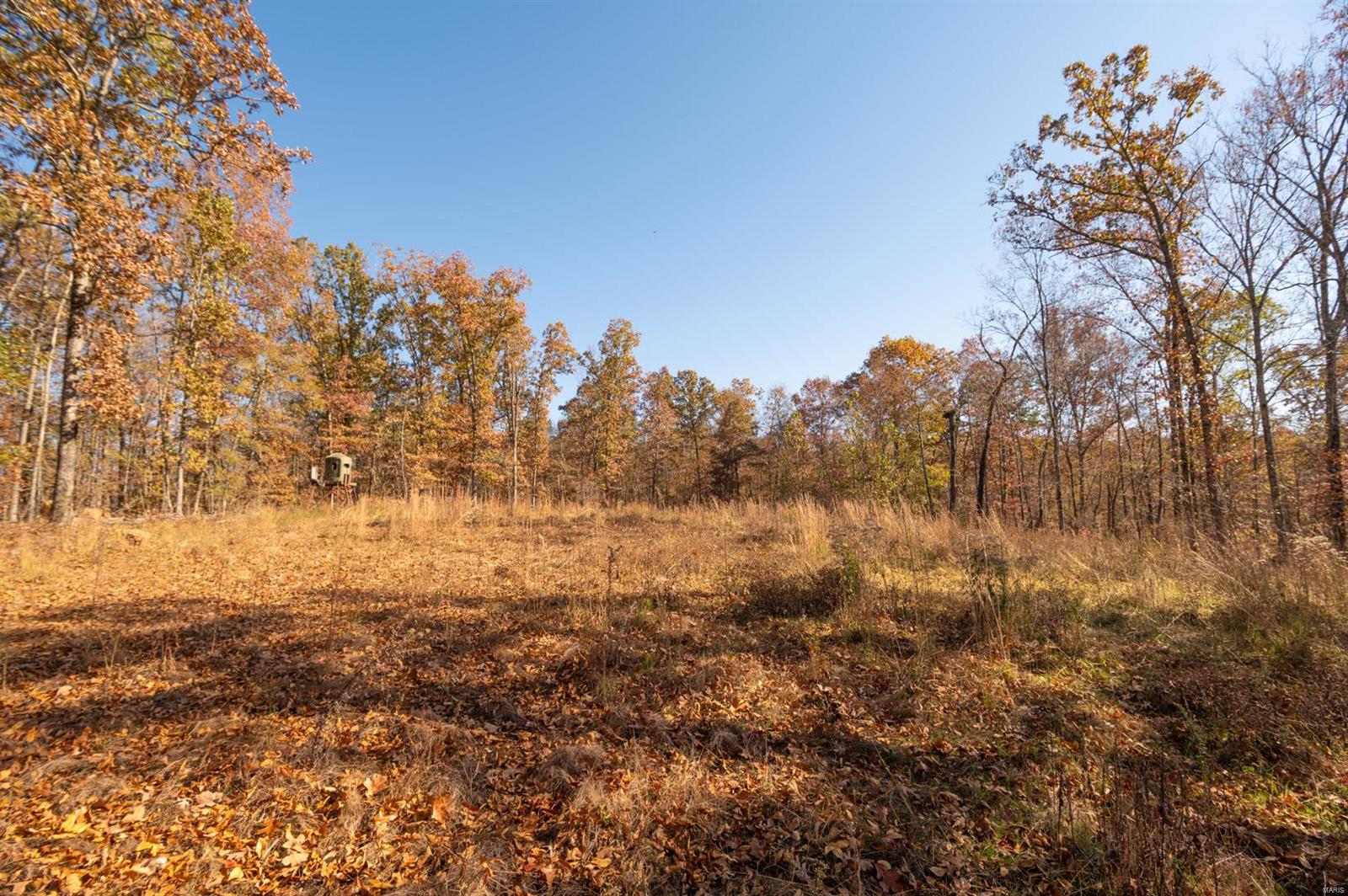 0 County Road 534 Property Photo 4