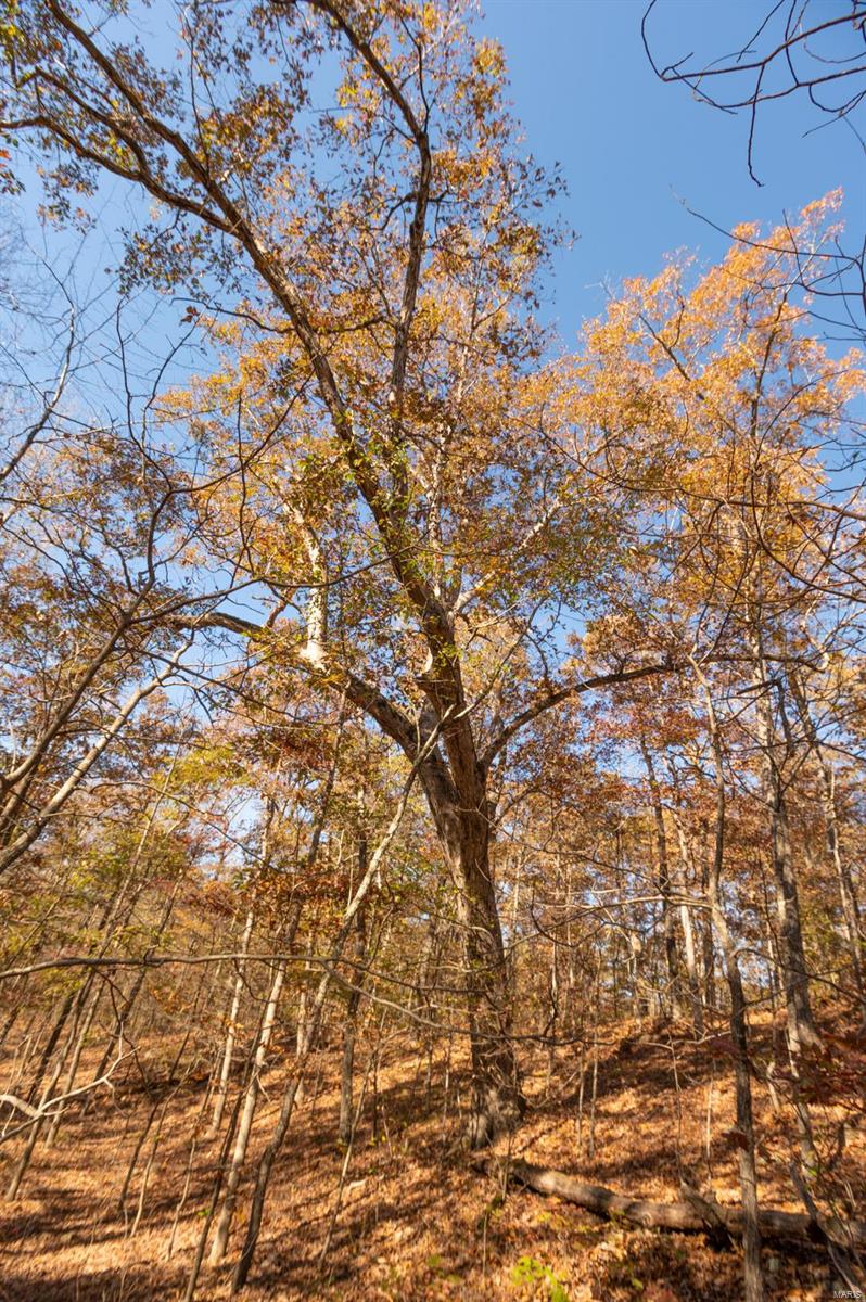 0 County Road 534 Property Photo 5
