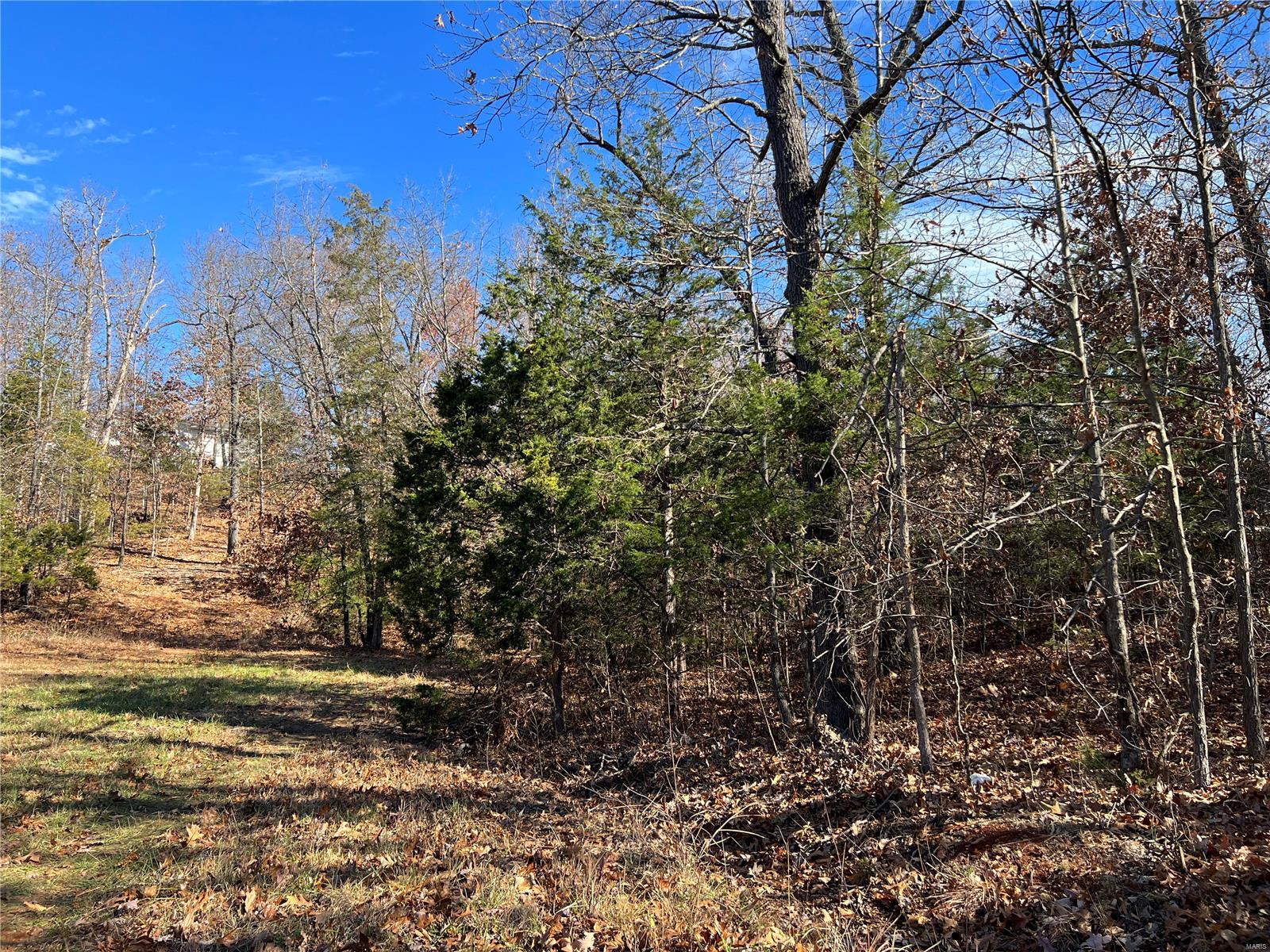 0 Amy Court Property Photo 1