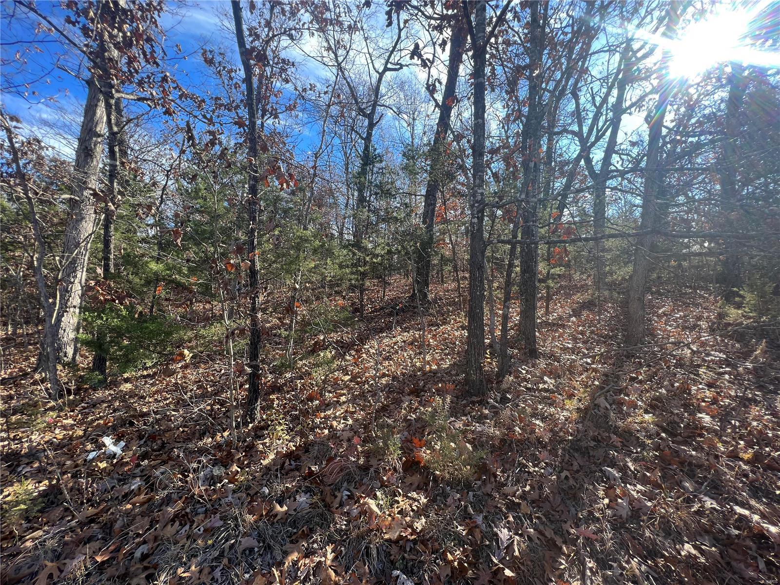 0 Amy Court Property Photo 5