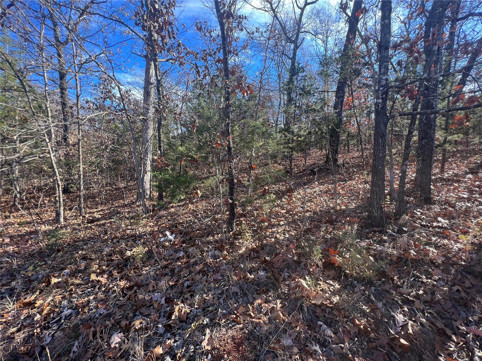 0 Amy Court Property Photo 6