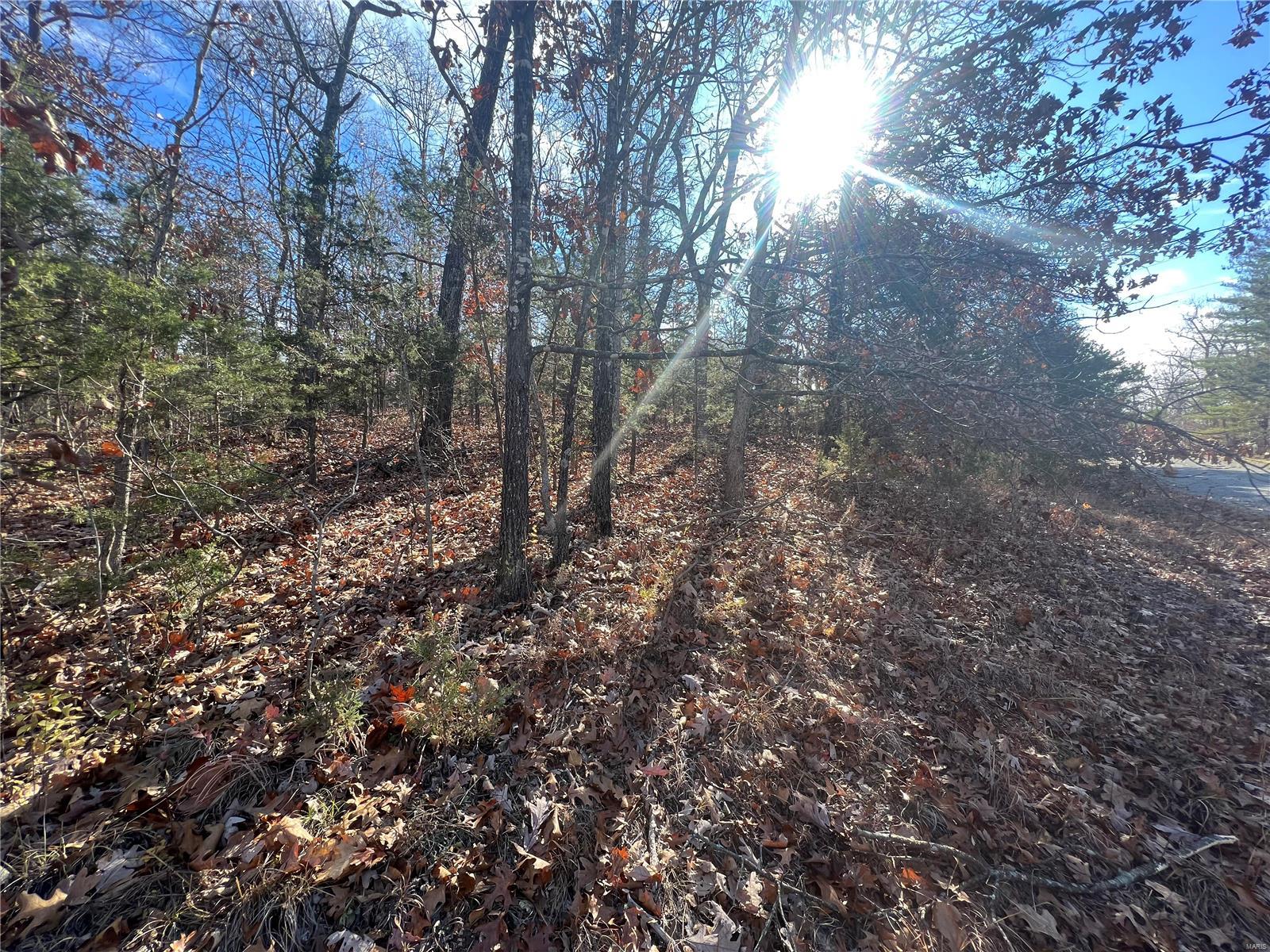 0 Amy Court Property Photo 7