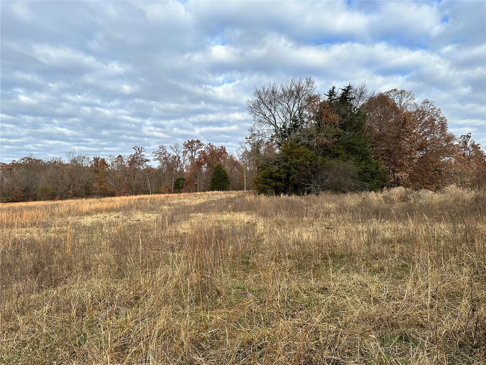0 Cr N-9 Property Photo 8