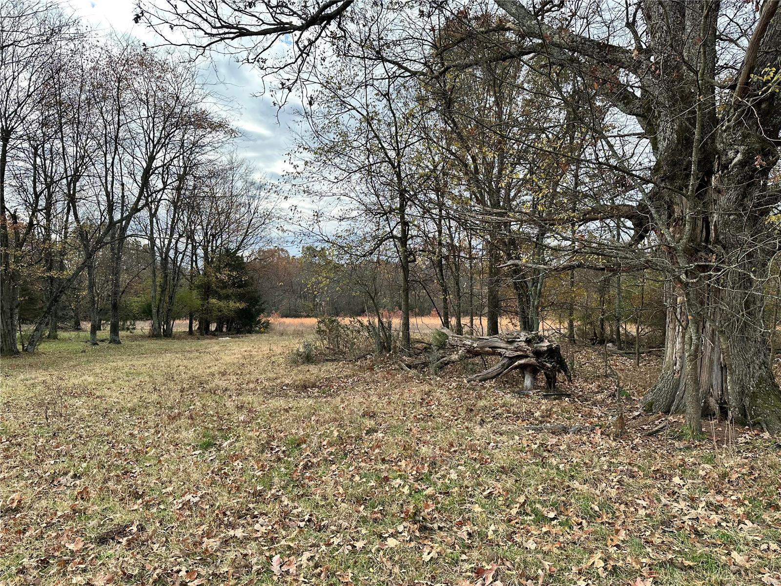 0 Cr N-9 Property Photo 10