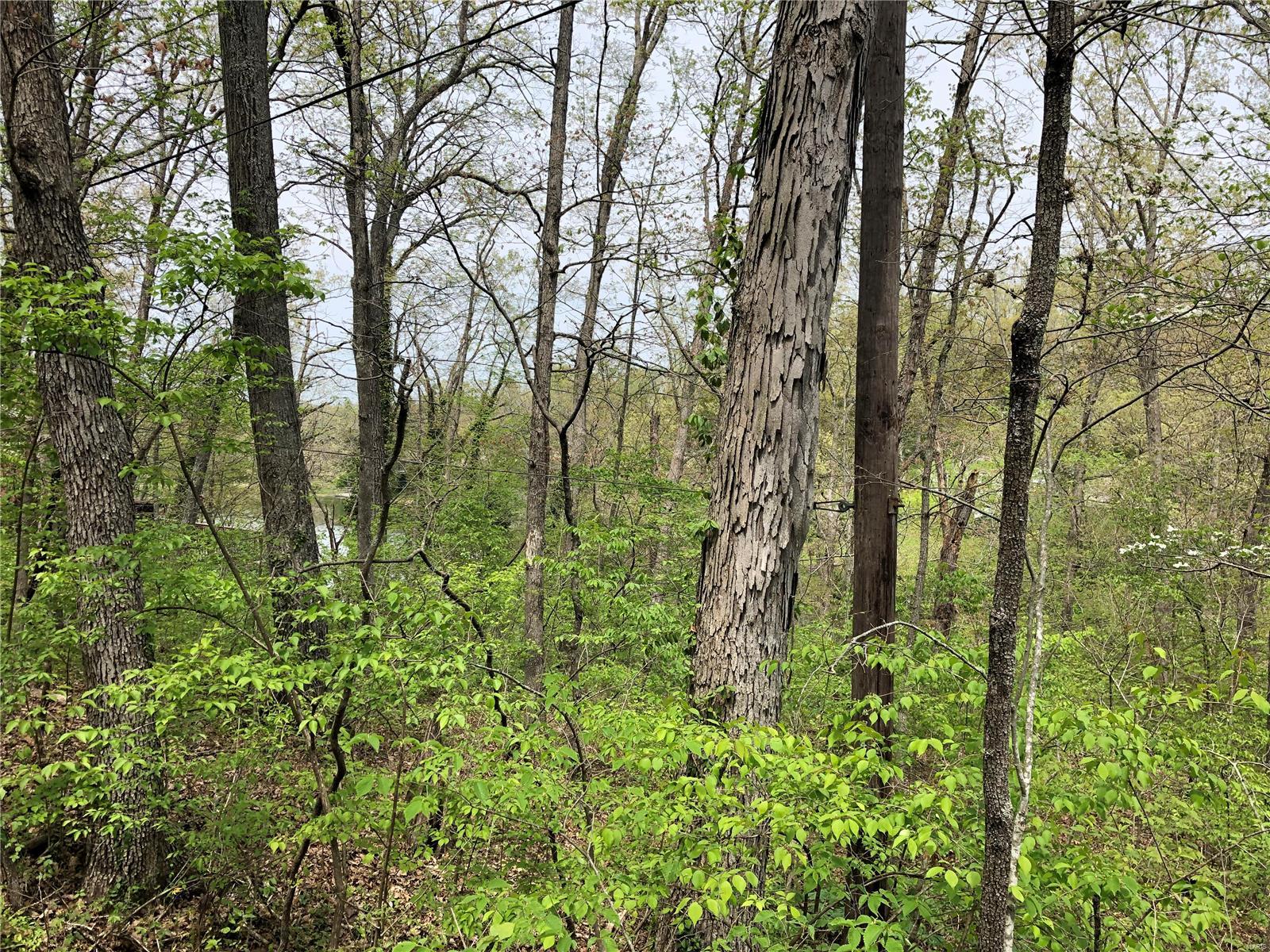 7345 Woodland Drive Property Photo 6