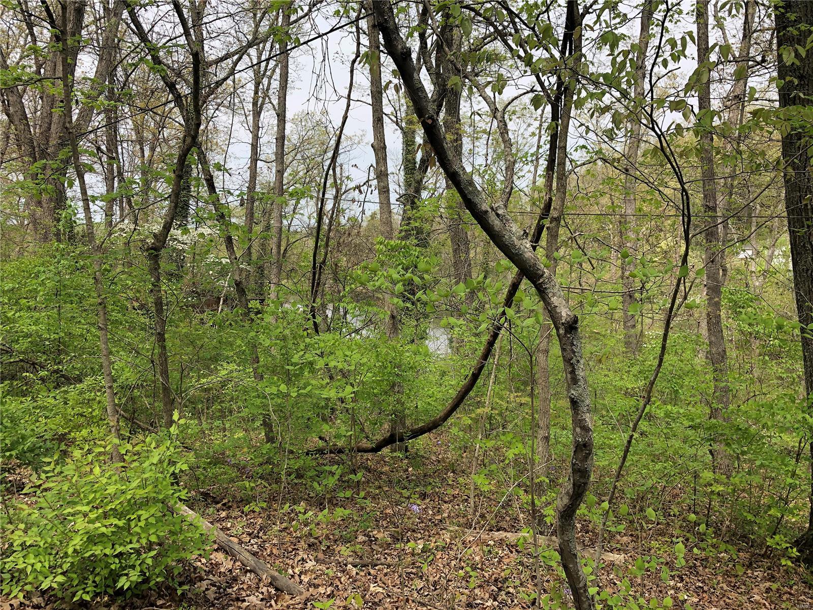 7345 Woodland Drive Property Photo 7