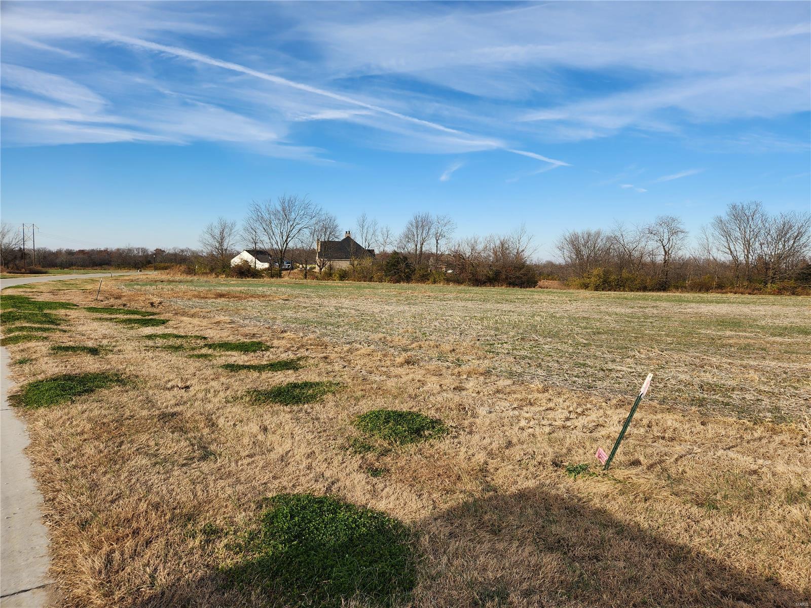 200 Bluegrass Pasture Court Property Photo 4