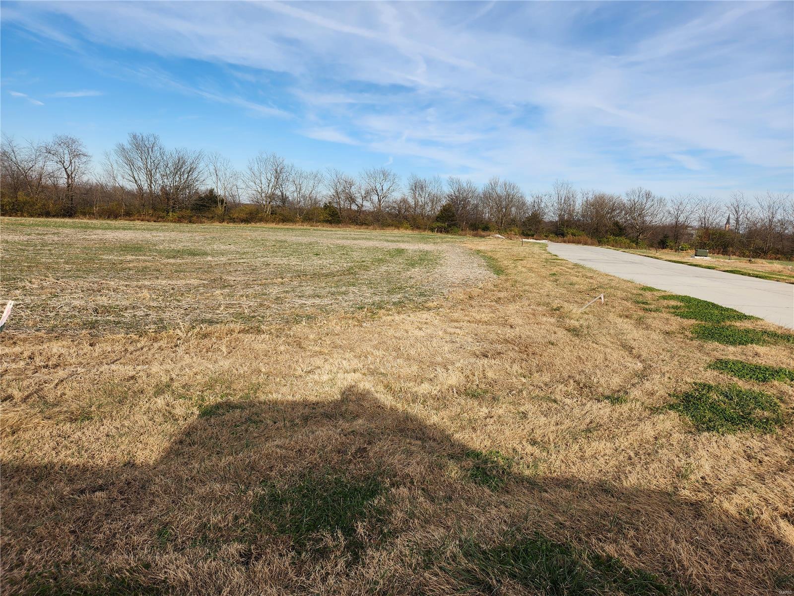 200 Bluegrass Pasture Court Property Photo 5